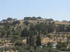 Gnien taz-Zebbug