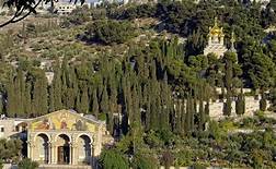 Gholja taz-Zebbug